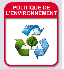 Environmental Policy