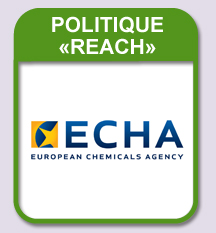 REACH Policy